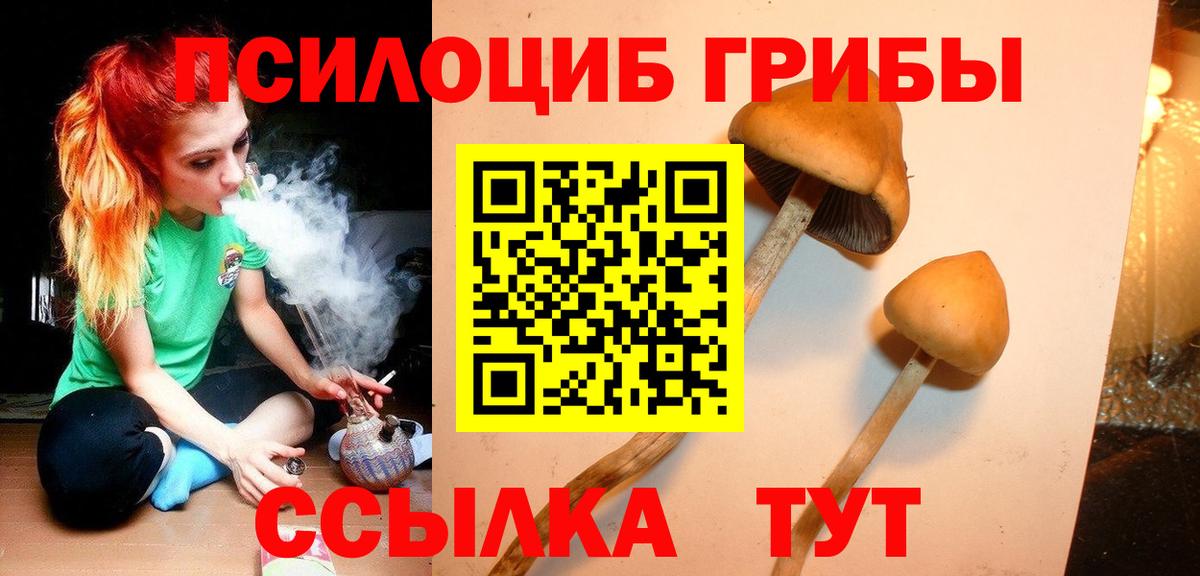 Всеволожск  Галлюциногенные грибы Cubensis  Вход с VPN 